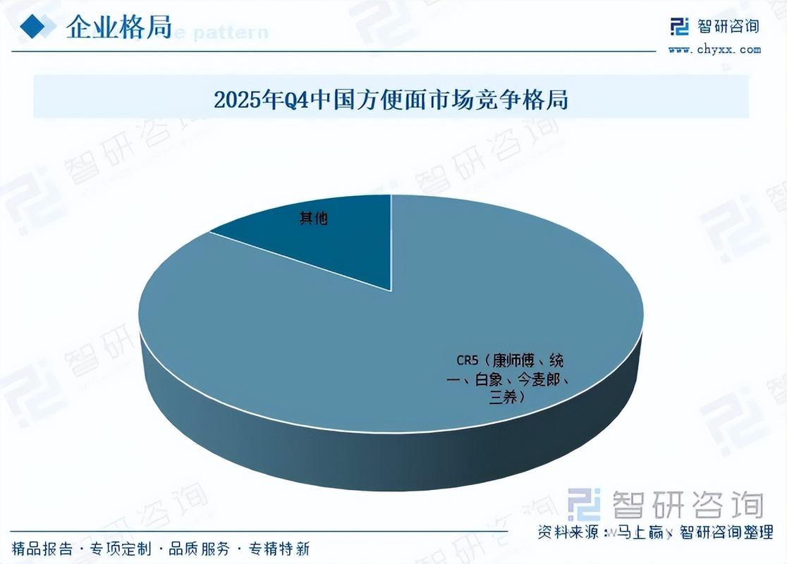 发展现状与投资前景预测报告 洞察趋势，锚定价值